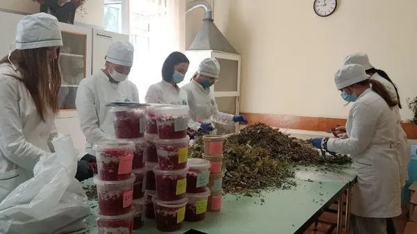 Луцькі студенти вже 9 років готують мазі та чаї для військових (фото)