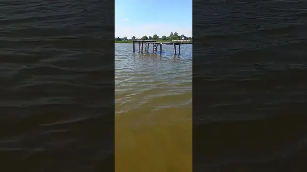 Чиста вода і багато риби: біля Луцька відкрили сезон на популярному озері (фото, відео)