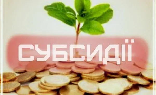 Студентам із гуртожитків СНУ можна оформити субсидію (пояснення)