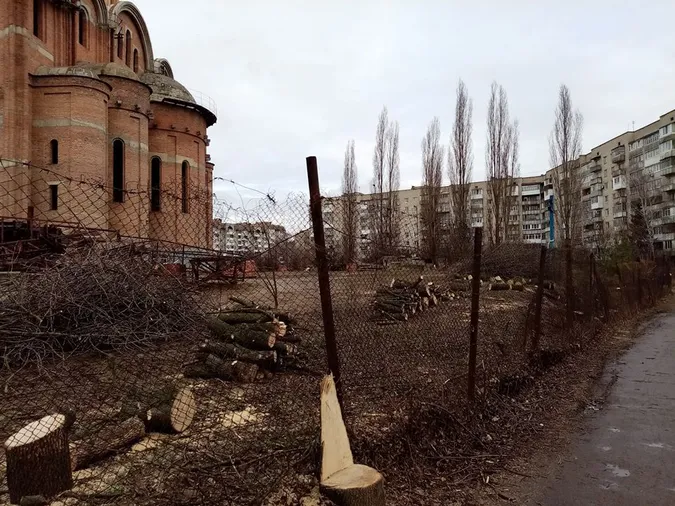 У Луцьку біля храму зрізали 30 дерев: чи законно (відео)