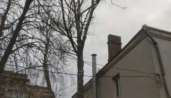 Ти, малий, скажи малому: як луцькі комунальники не можуть зрізати дерево