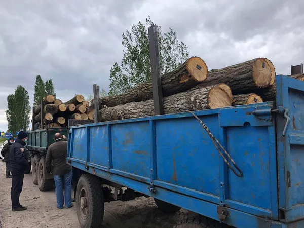 На Волині вкотре зупинили автомобіль з деревиною, на яку не було документів (фото)