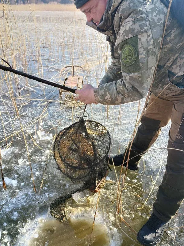 У нацпарку на Волині впіймали рибалку, який ловив щуку під час нересту (фото)