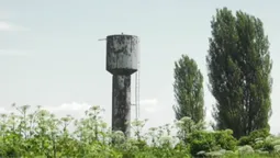 Село-привид у Луцькому районі: чому жителі покинули Барвінок