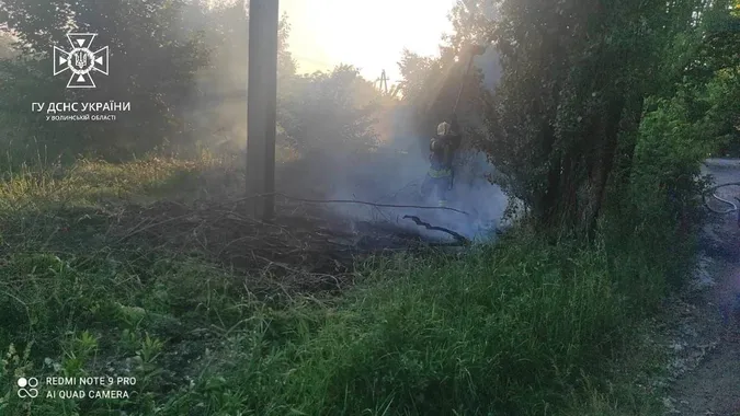 Суха рослинність, баня і будинки: за добу на Волині погасили 7 пожеж (фото)