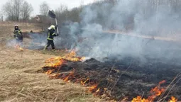 У Луцькому районі горів сухостій – гасили підручними засобами (фото)