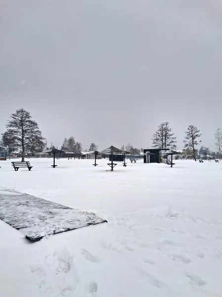 Космічні краєвиди: зима огорнула Світязь у білосніжну ковдру (фото)