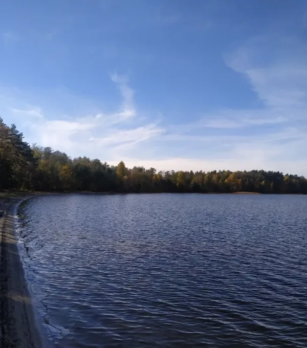 Острів, який зник під водою, і «гліцеринова» вода: чим дивують три озера Полісся (фото)