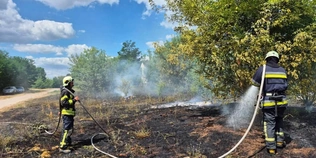Вогонь охопив майже гектар: на Волині рятувальники ліквідували чотири пожежі сухостою (фото)