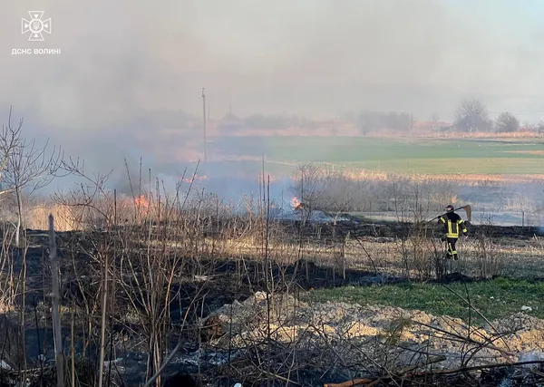 На Волині за добу вигоріли гектари трави: вогонь дістався навіть дачного будинку (фото)