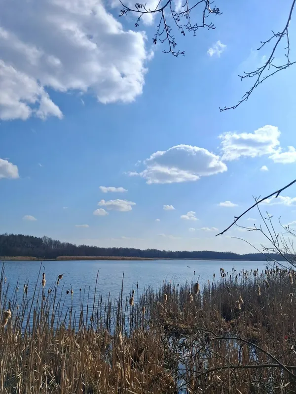 Показали неймовірні краєвиди мальовничого озера на Волині, у якому водиться багато риби