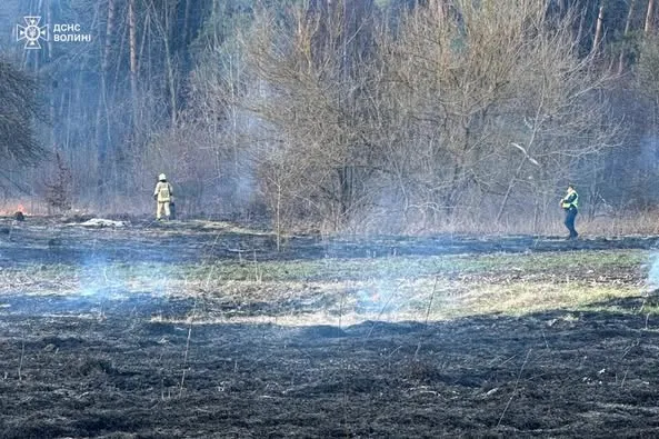 У Луцькому районі горіла суха трава – винуватця оштрафували (фото)