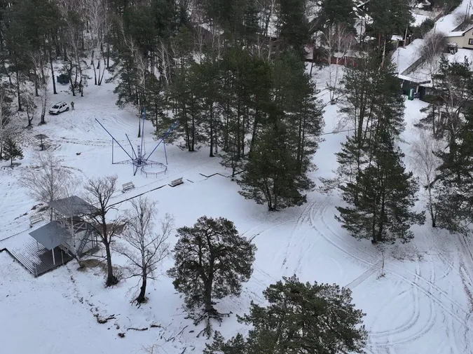 Біла пляма в обіймах лісу: одне з Шацьких озер показали з висоти пташиного польоту (фото)