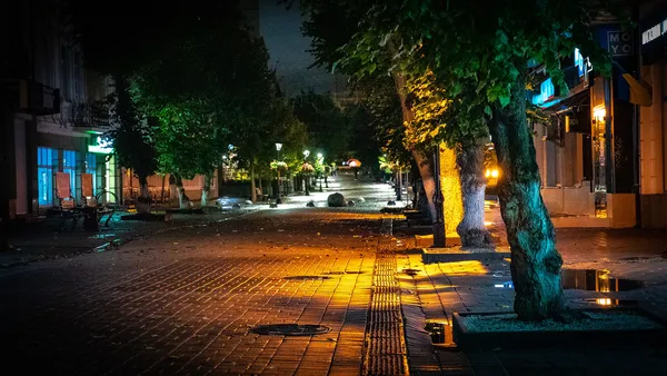 Луцьк після осіннього дощу: фотограф опублікував світлини нічного міста (фото)