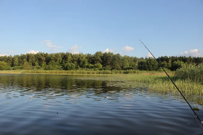 Не Світязь: назвали ще одну озерну перлину Волині (фото)