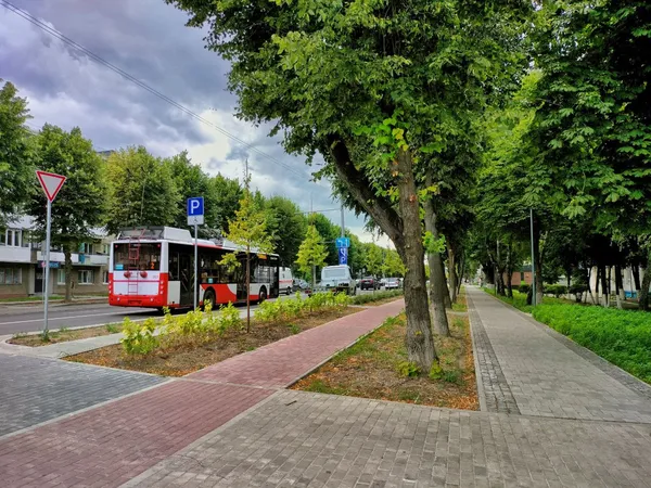 Рожева мрія: перші кроки Луцька до комфортного міста