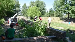 У луцькому парку видаляють аварійні дерева (фото) 