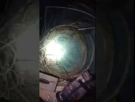У Світязі знайшли 42 метри сіток для вилову вугрів (фото, відео)