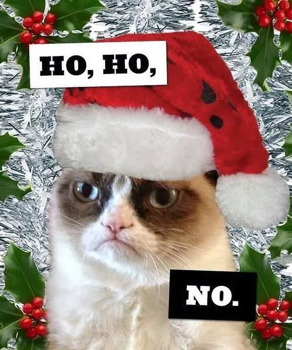 Знаменита в Instagram сердита кішка Grumpy Cat померла (фото)