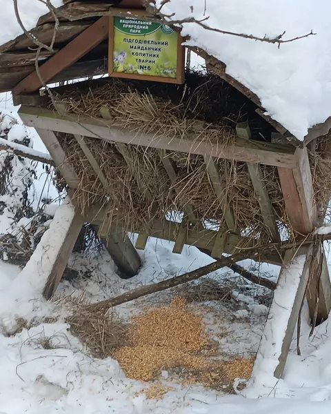Ріжуть кригу бензопилою: що коїться у Шацькому парку на Волині (фото)