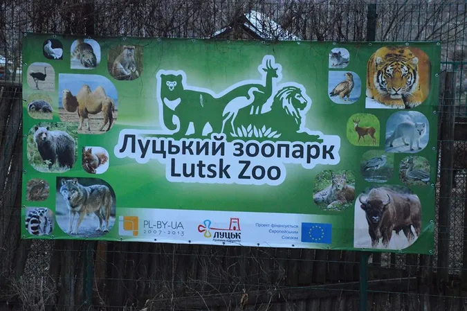 Луцькому зоопарку хочуть віддати землю кінної спортшколи