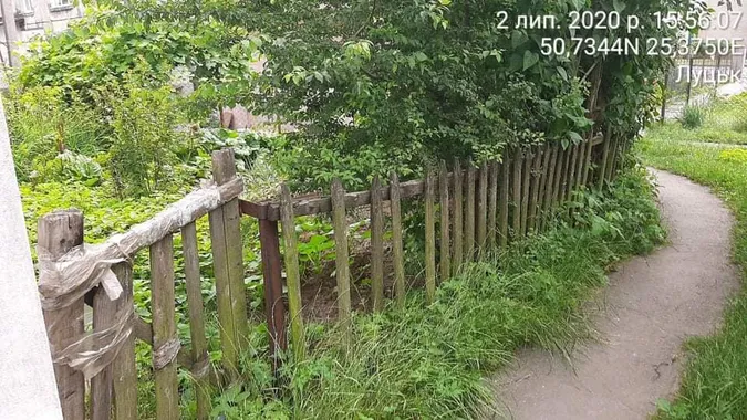 Квіти в шинах, грядки, паркани: в Луцьку – рейд муніципалів (фото)