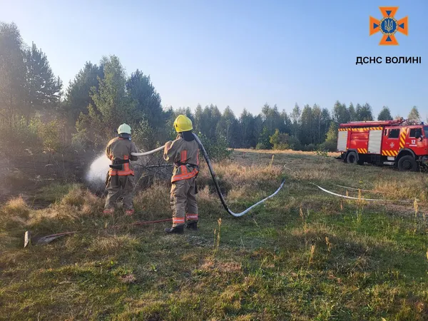 Грався з сірниками: на Камінь-Каширщині психічно хворий чоловік підпалив суху траву (фото)