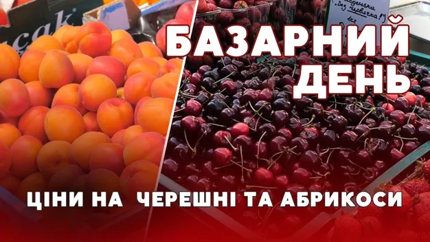 «Ціни кусаються»: скільки на ринках Луцька коштує черешня та абрикоси (відео)