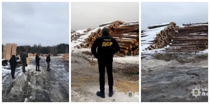 На Волині вилучили деревини сумнівного походження на понад 800 тисяч (фото)