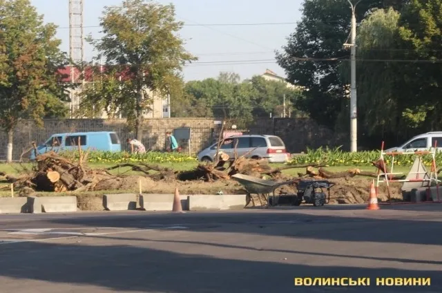Чому зрізали дерево біля істфаку в Луцьку (фото)