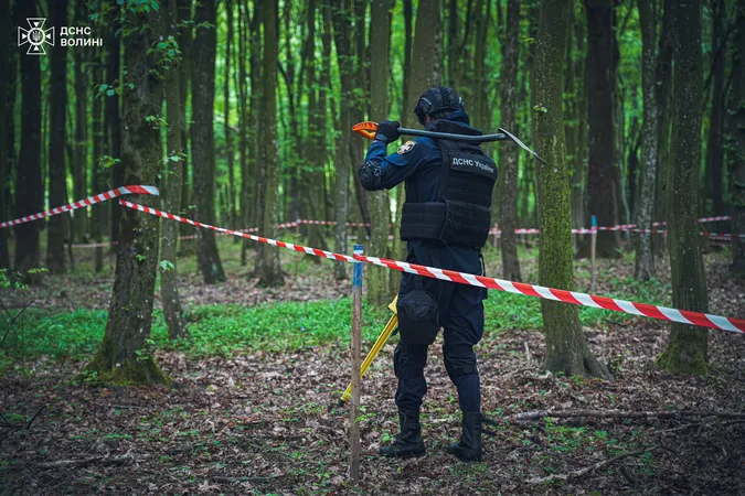 На Волині сапери розміновують заповідне урочище (фото)