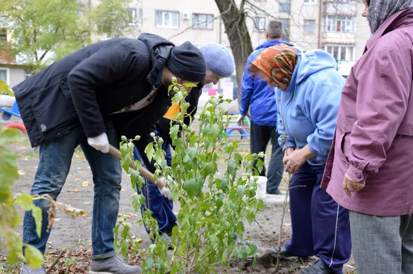 «Будуємо спільне майбутнє»: у луцьких дворах посадили дерева