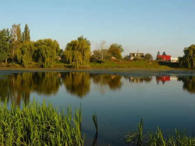 На Теремнівських ставках у Луцьку знайшли кишкову паличку (відео)