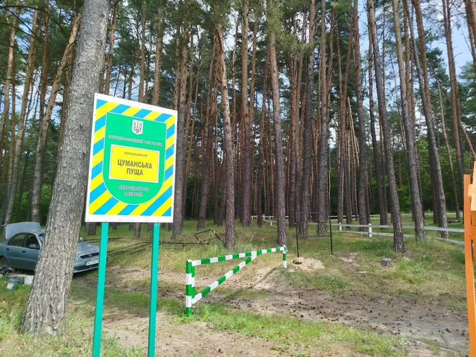 Де неподалік Луцька можна погуляти незайманим столітнім лісом (фото)