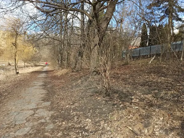 Дві вантажівки сміття: у Луцьку прибрали біля Сапалаївки (фото)