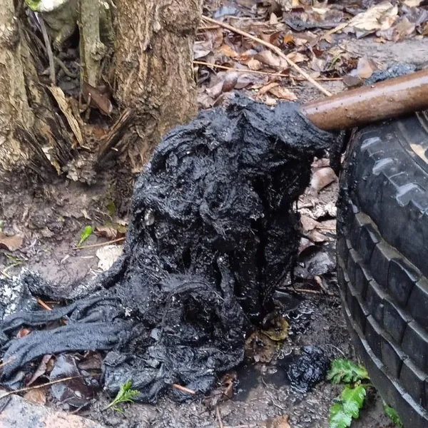 З глибин міста на Волині дістали смердючий сюрприз