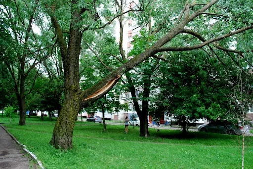 Фото ілюстративне