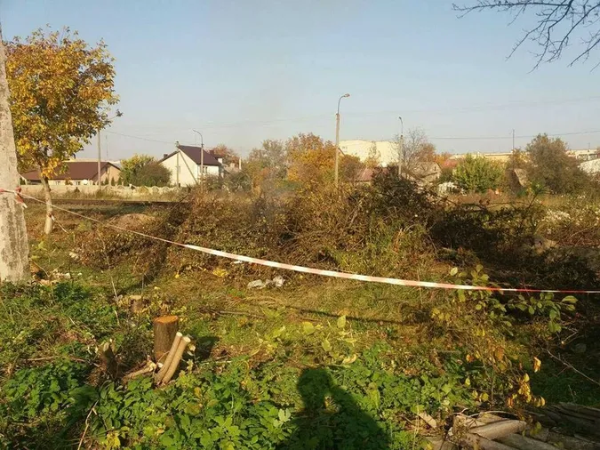 Лучан каратимуть за гілля та будівельні відходи у сміттєвих контейнерах (фото)