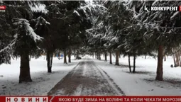 Якою буде зима на Волині та коли чекати першого снігу (відео)