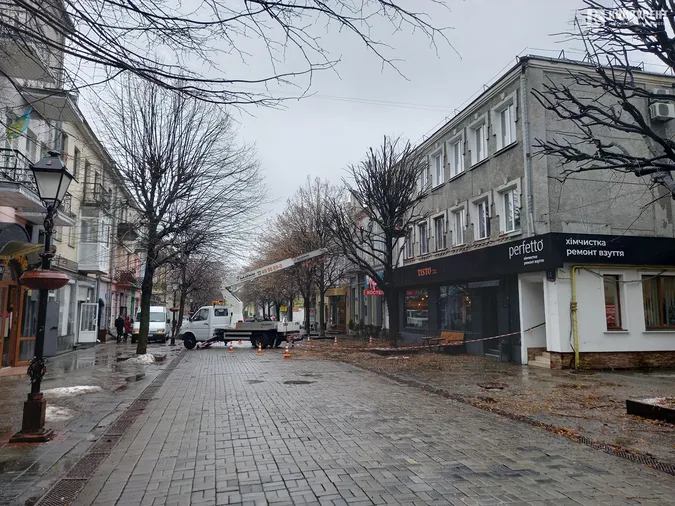 У центрі Луцька кронують дерева (фото)