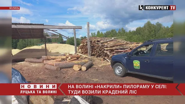 На Волині «накрили» пилораму у селі: туди возили крадений ліс (відео)