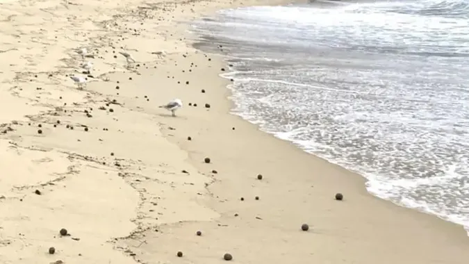 У Британії на узбережжі моря з'явились загадкові чорні кульки