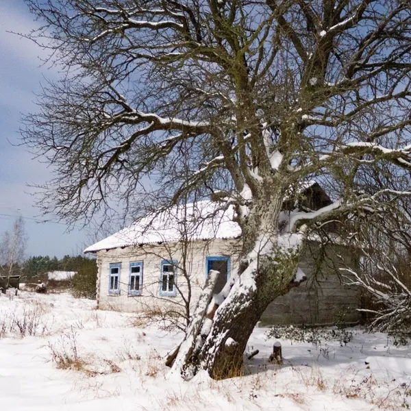 Як в дитинстві у бабусі: волинське село під покровом снігу (фото)