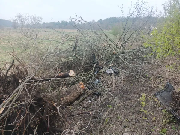 Загинули водій і пасажир: на Волині сталася жахлива ДТП (фото)