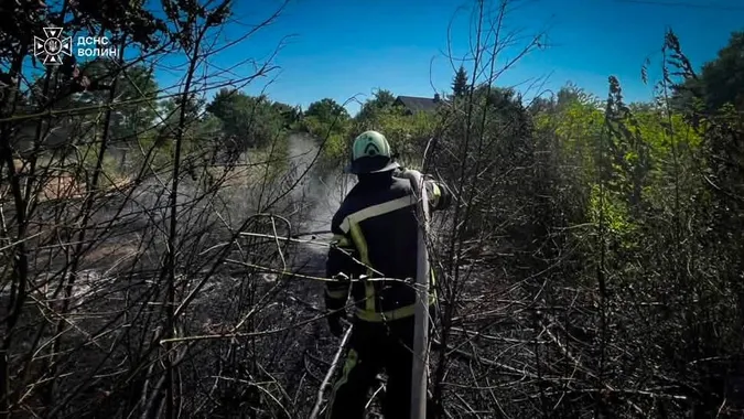 Палала суха трава і стерня: на Волині за добу ліквідували чотири пожежі (фото)
