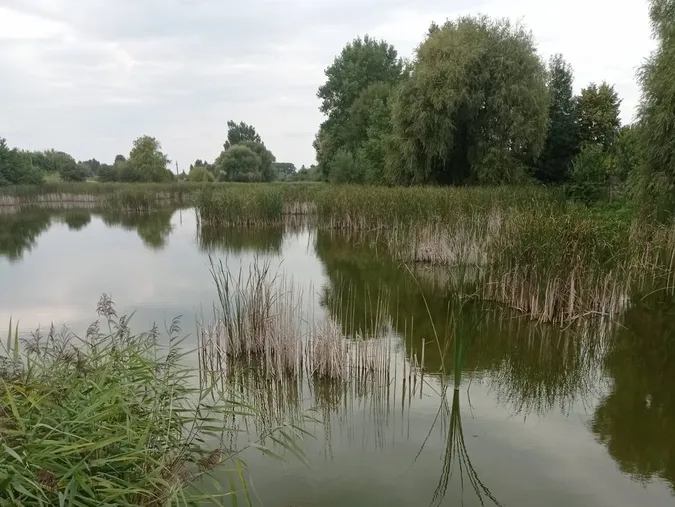 У Луцькому районі здають в оренду дві великі водойми для розведення риби