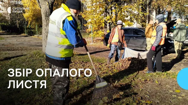 До 5 тонн щодня: як у Луцьку прибирають опале листя (фото, відео)