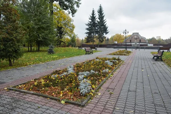 Луцький фотограф показав фантастичну «золоту» осінь (фото)