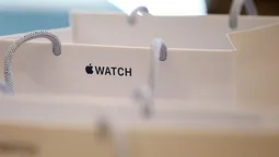 Apple винайшла паперовий еко-пакет
