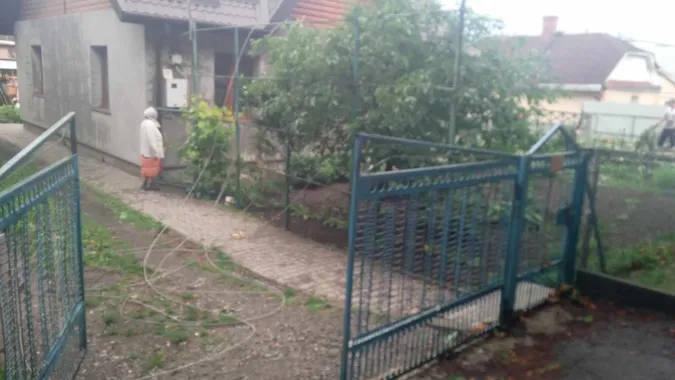 У Луцьку на Клима Савури під час грози впало дерево та зірвало лінію електропередач (фото)